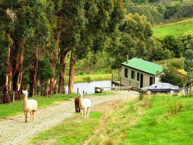 Photo 11 for Secluded Spa Cottage
