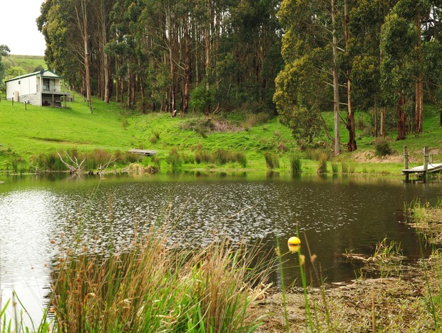 Photo 9 for Secluded Spa Cottage