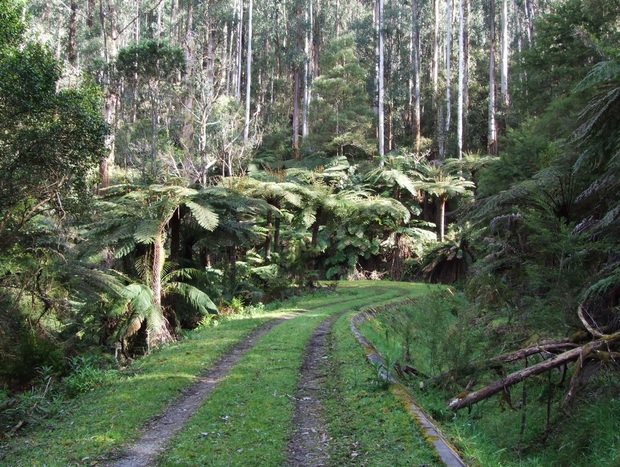 Photo 9 for Sleepy Wombat Cottage