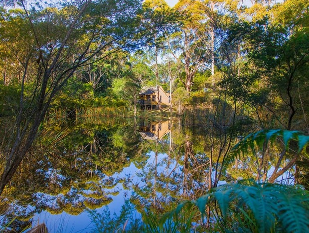 Photo 8 for Billabong Cottage