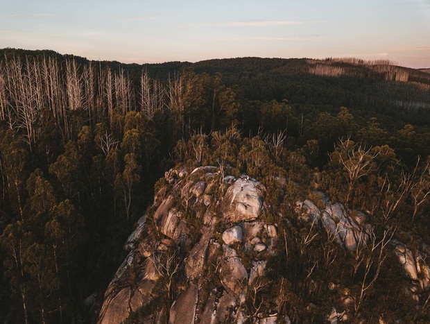 Photo 12 for Tiny House in a Big Forest
