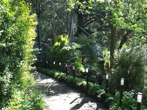 Photo 27 for A Forest Retreat @ Wild Orchid Olinda