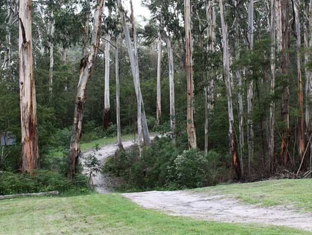 Photo 7 for Brogui Magical Bushland Retreat