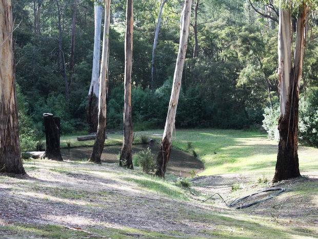 Photo 5 for Brogui Magical Bushland Retreat