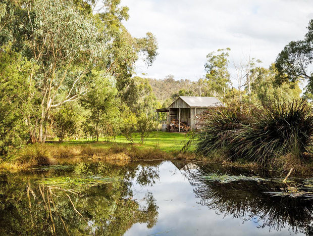 Photo 11 for The Burrow at Wombat Bend