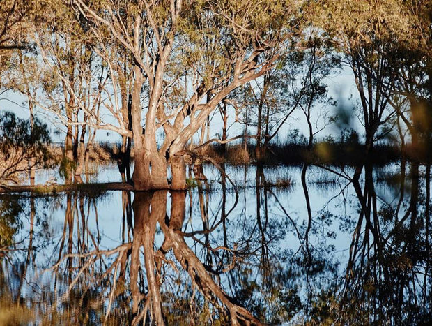 Photo 11 for Moodemere Lake House