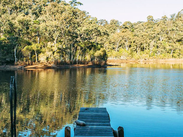 Photo 5 for Lyrebird Lakehouse