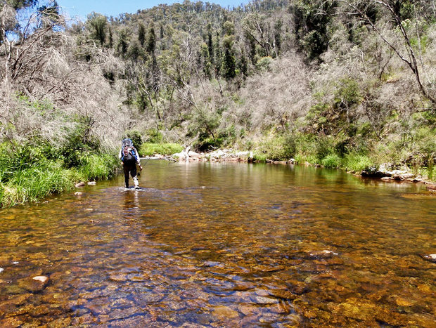 Photo 7 for King River Cabins
