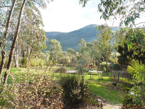 Photo 12 for Alfred's Bush Retreat
