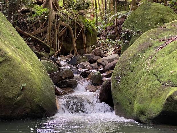 Photo 17 for Creekside Tiny House in Sub-tropical Rainforest