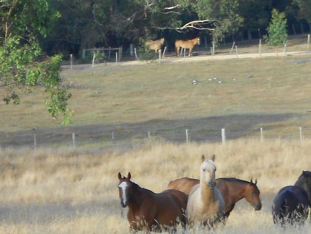 Photo 20 for Spring Creek Love Shack