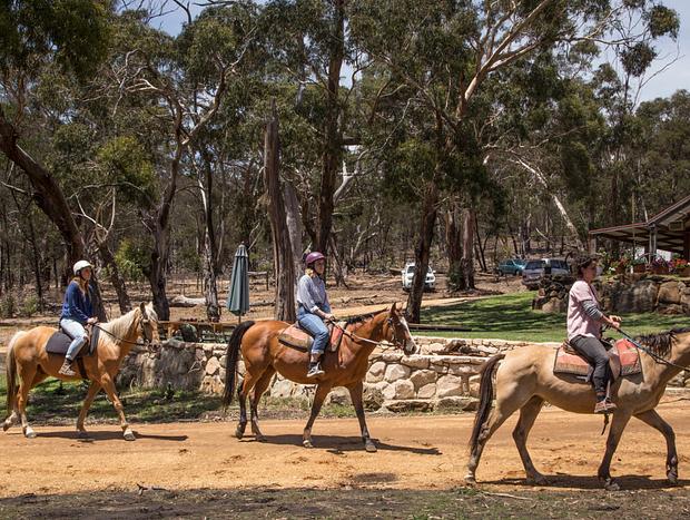 Horse Riding on the Property