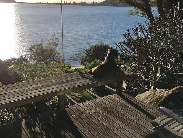 Photo 20 for Sandstone Cottage - Great Mackerel Beach