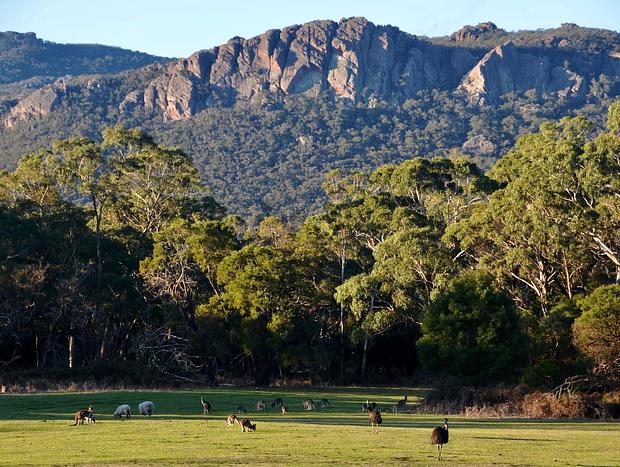 Photo 42 for A Boat in the Grampians - Nature Lovers Eco Retreat