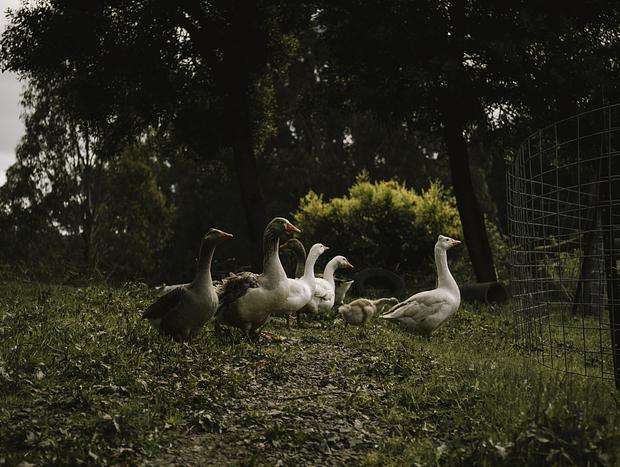 Photo 1 for undefined