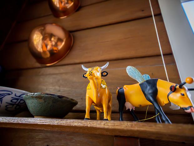 Photo 26 for Cutest Cottage in heart of Milton, (dog friendly too!)