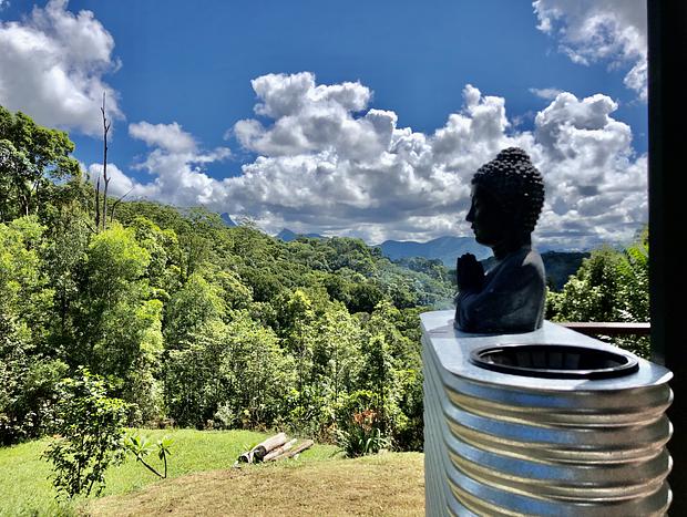 Photo 4 for Secluded Treetop Cabin - Uki/Mt Warning