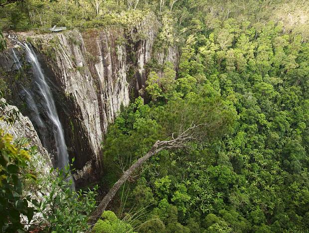 Photo 49 for Secluded Treetop Cabin - Uki/Mt Warning