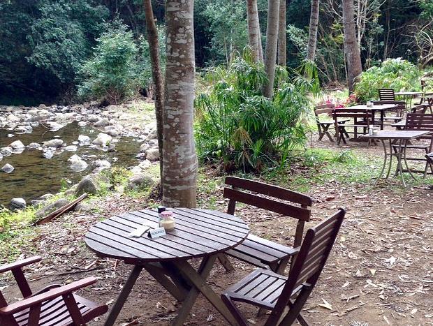 Photo 58 for Secluded Treetop Cabin - Uki/Mt Warning