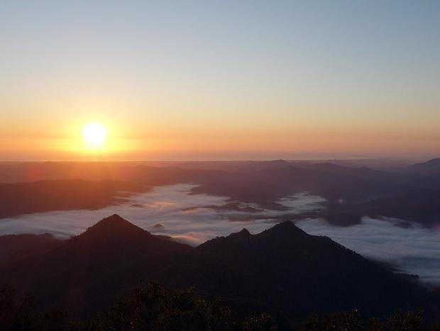Photo 45 for Secluded Treetop Cabin - Uki/Mt Warning