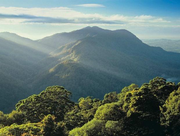 Photo 54 for Secluded Treetop Cabin - Uki/Mt Warning