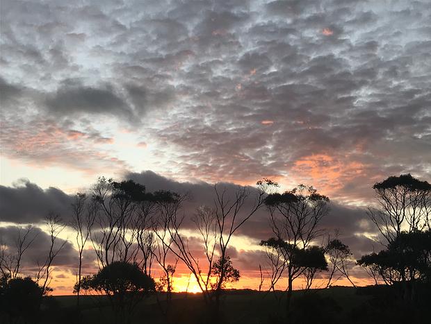 Photo 20 for Asmara @ 12 Apostles (Princetown)