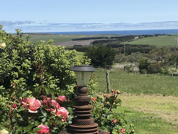 Photo 23 for Asmara @ 12 Apostles (Princetown)