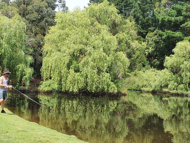 Photo 11 for Valley View Nature Retreat – Tranquil Farm Stay in Apollo Bay