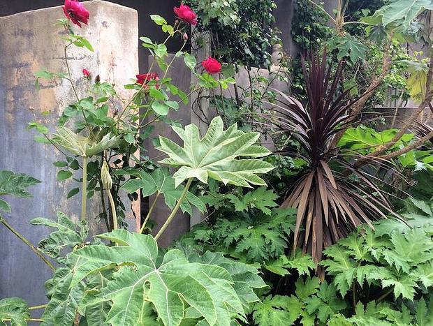 Photo 31 for Mokepilly Macedon Ranges - A Country Garden Escape