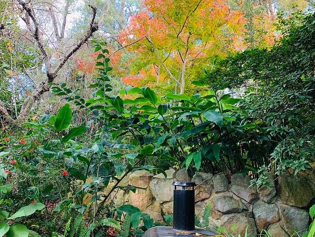 Photo 29 for Rustic Cosy Mountaintop Escape •Indoor Fire•Outdoor Bath•Wood-fired Pizza Oven