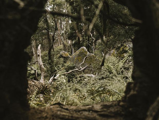 Photo 4 for Raglan Falls