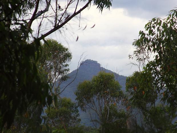 Photo 10 for Clyde River Retreat - Carisbrook