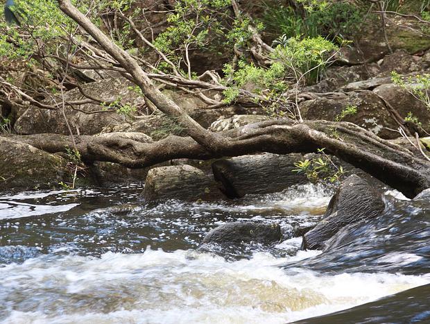Photo 8 for Clyde River Retreat - Budawang