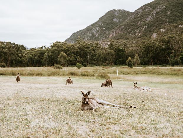 Photo 1 for Wildlife watching