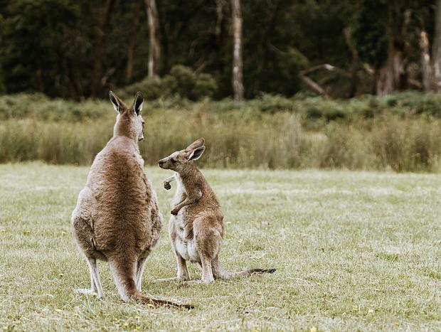Photo 3 for Wildlife watching