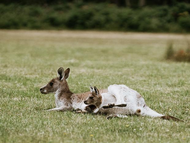 Photo 4 for Wildlife watching