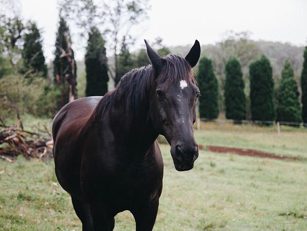 Photo 5 for Wollombi Valley Escape