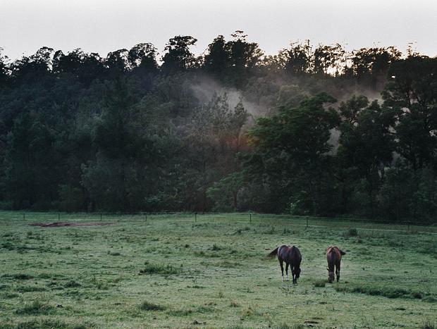 Photo 14 for Wollombi Valley Escape