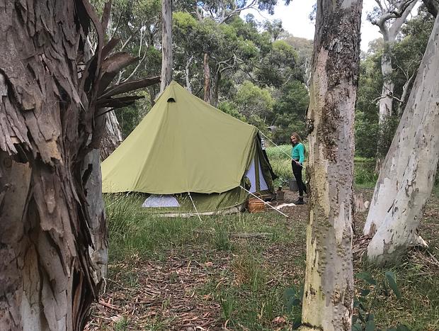 Photo 5 for Redleaf Glamping - Frog Haven Safari