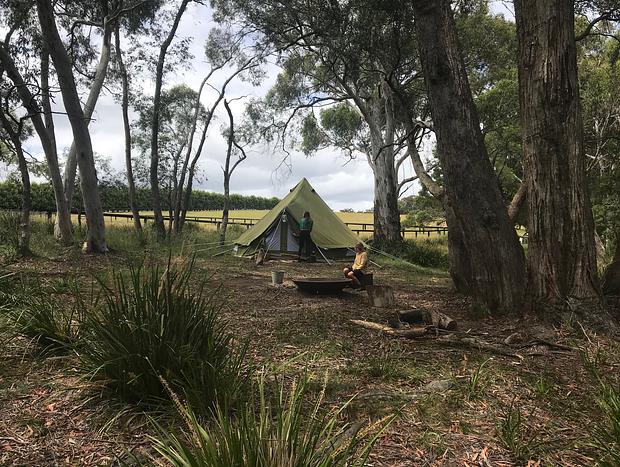 Photo 7 for Redleaf Glamping - Frog Haven Safari