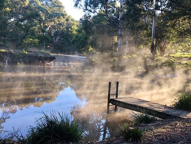 Photo 4 for Redleaf Glamping - Frog Haven Safari