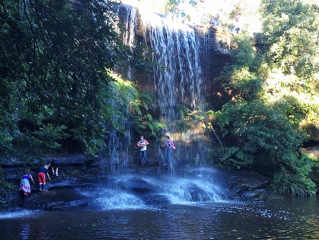 Photo 15 for Redleaf Glamping - Birdwatchers Safari
