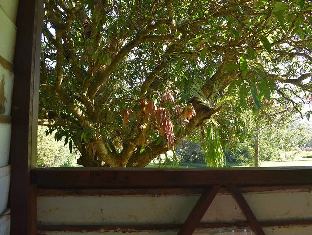 Photo 18 for Rustic Funky Eco Cottage - A place for Stay & Clay