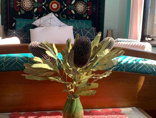 Photo 8 for Luscious Layabout Cottage Katoomba