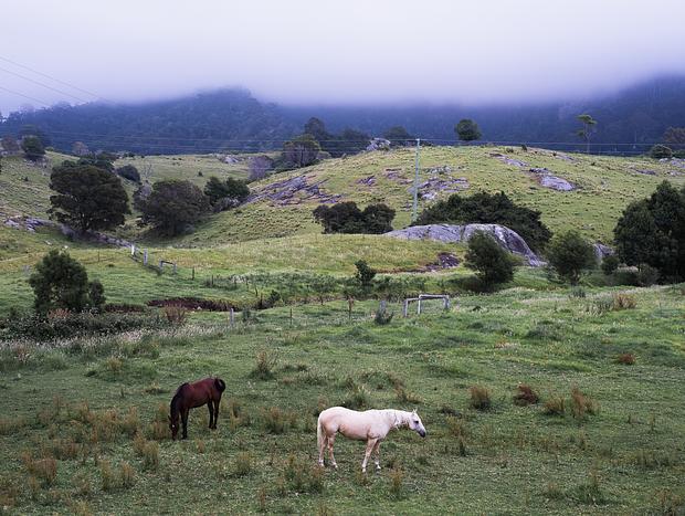Photo 5 for Mountain View Glamping