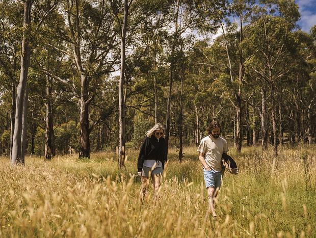 Photo 2 for Bushwalking on the Property