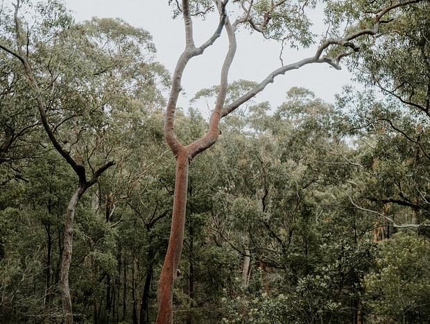 Photo 5 for Unplug in the Blue Mountains