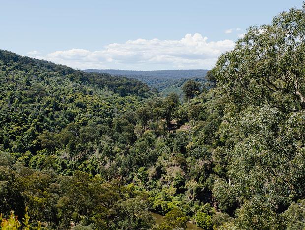 Photo 2 for Explore the Lakes and Mitchell River National Park