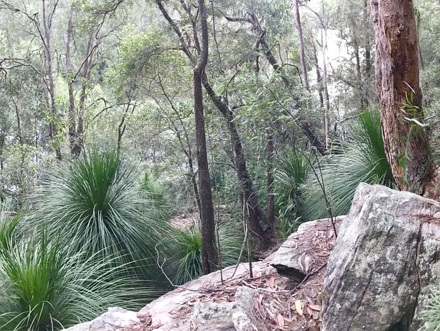 Photo 26 for Colo Mudbrick Cabin - Amazing Views & Outdoor Bath