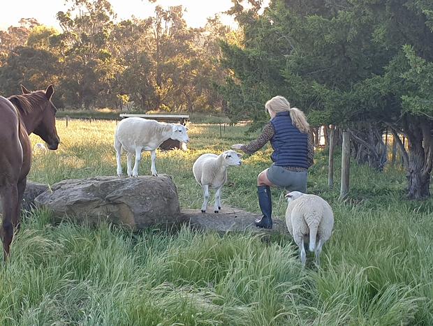 Photo 35 for Timberline Park High Country Farm Stay